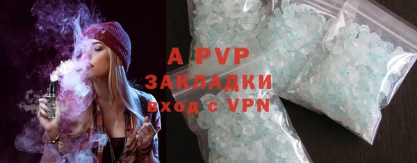 шишки Михайловск