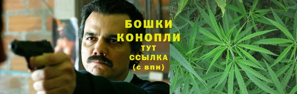 шишки Михайловск