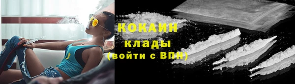 шишки Михайловск