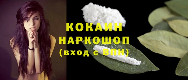 шишки Михайловск