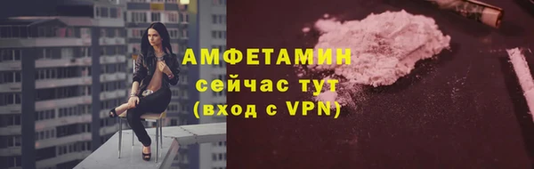 шишки Михайловск
