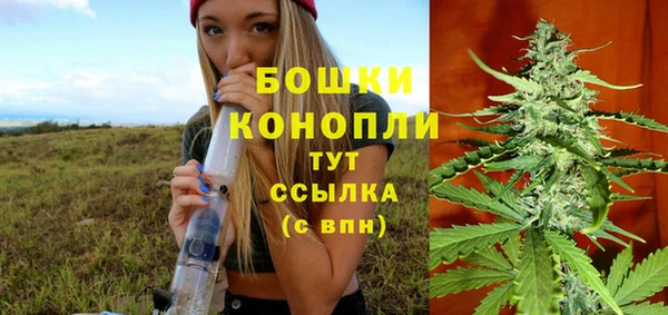 шишки Михайловск