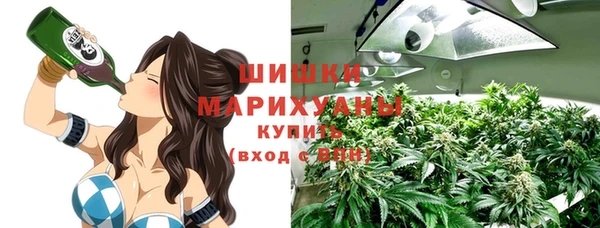 шишки Михайловск