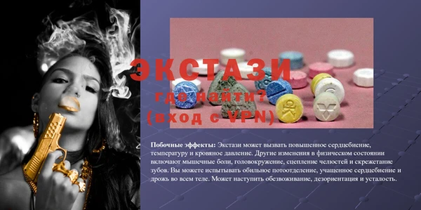 стаф Медногорск