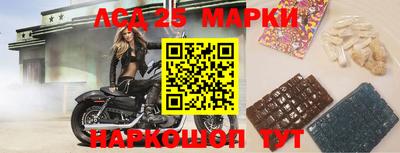 спиды Волгодонск