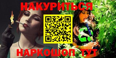 шишки Аргун