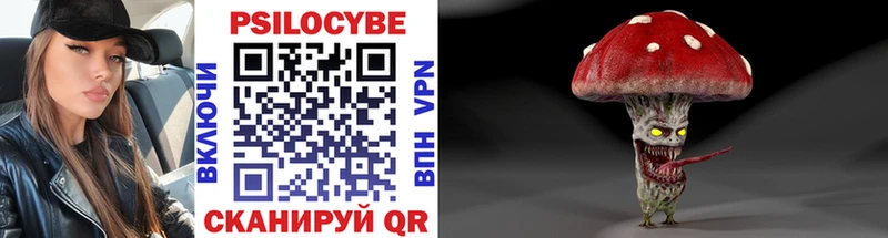 Галлюциногенные грибы прущие грибы  Воронеж 