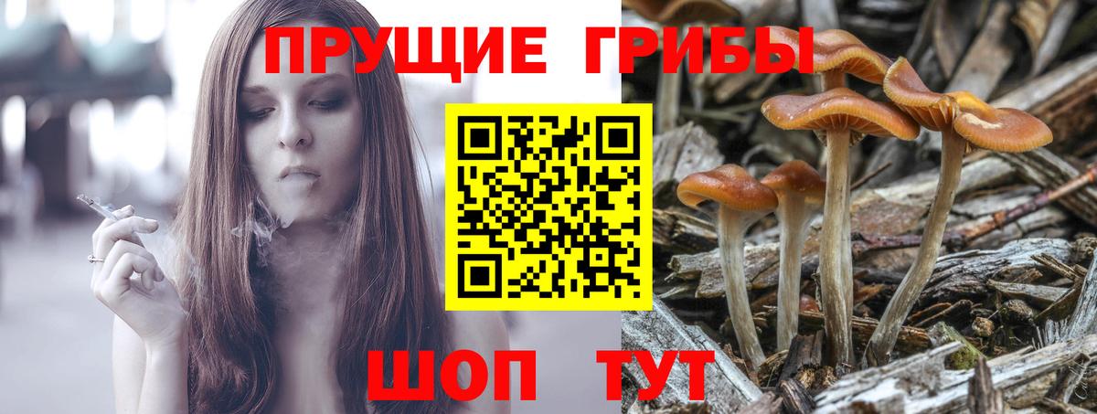 Галлюциногенные грибы Cubensis Воронеж
