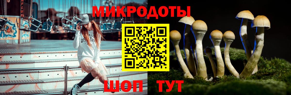 Воронеж  Галлюциногенные грибы Magic Shrooms  где купить   Вход с VPN 